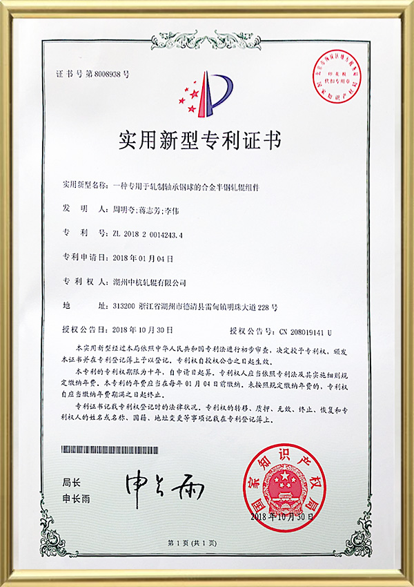 Gebruiksmodel patentcertificaat